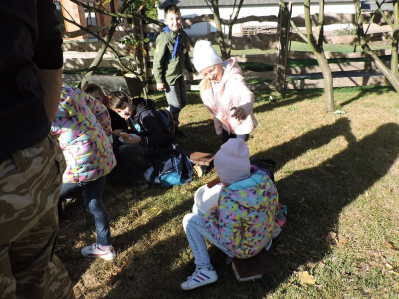 Święto pieczonego ziemniaka 2016